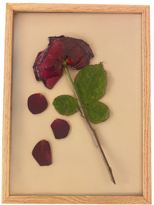 Rosenpoesie